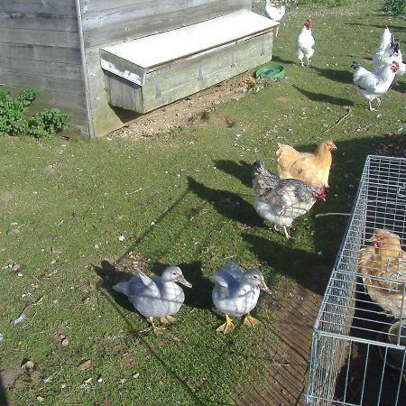 Bed and Breakfast South Moor Farm Scarborough Exterior foto